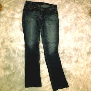 Express Dark Wash Skinny Jeans